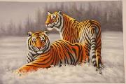 unknow artist Tigers 022 oil painting on canvas
